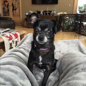 Meet your Posher, Olivia